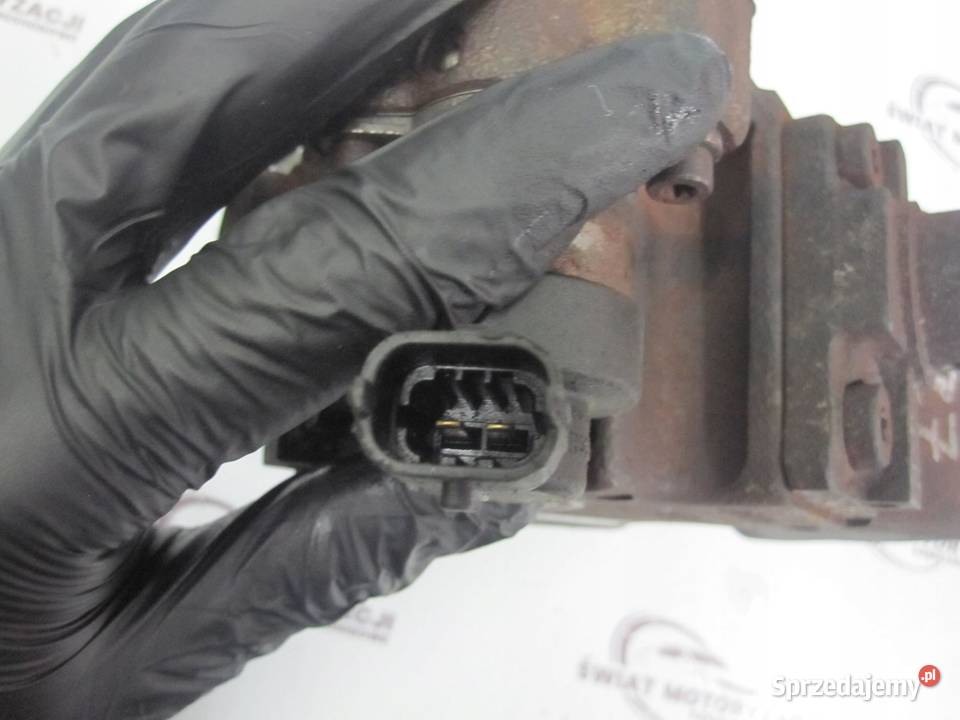 Fiat DOBLO 13 JTD 12r pompa wtryskowa 0445010310 osobowe świętokrzyskie