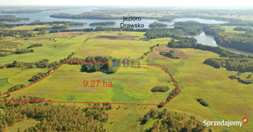 Działka budowlana 927ha w okolicy jeziora Warniłęg sprzedam