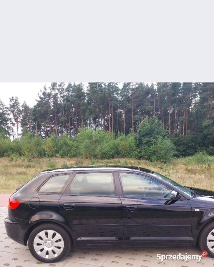 Audi A3 8P 19 TDIPiękna diesel Czarna Woda sprzedam