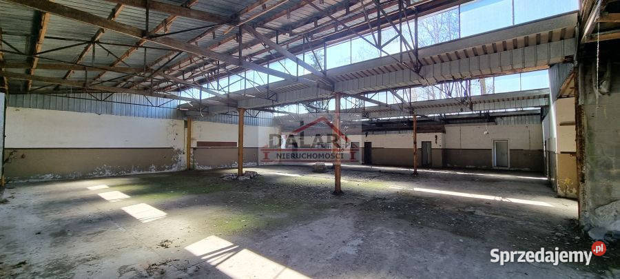 Dom Sierzchów Sierzchów 1200m2