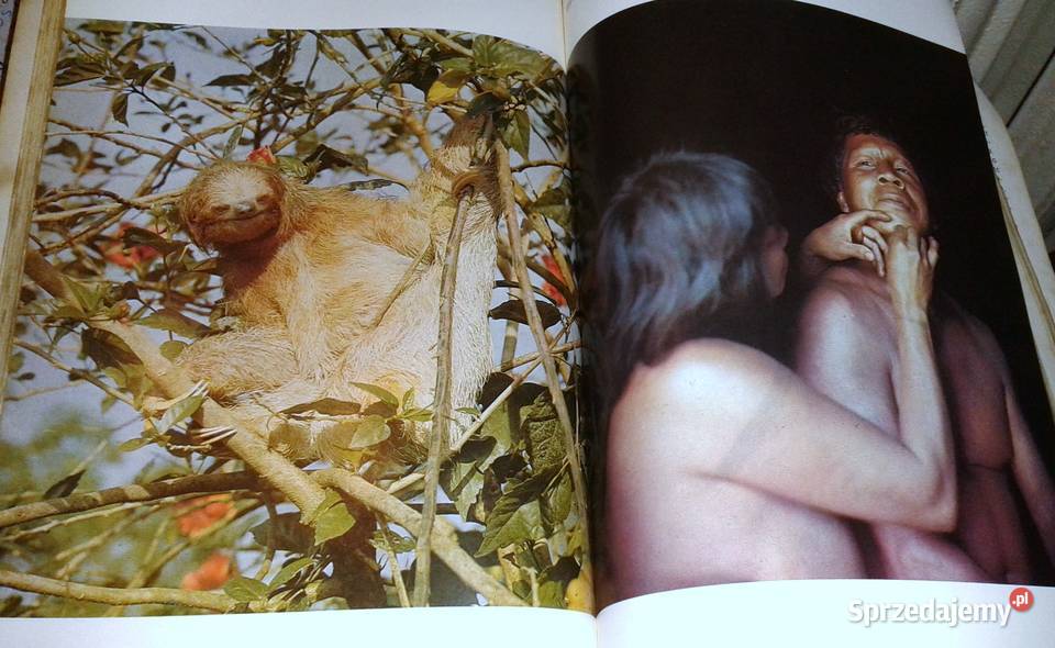 Z kamerą i strzelbą Mato Grosso Antonio Halik