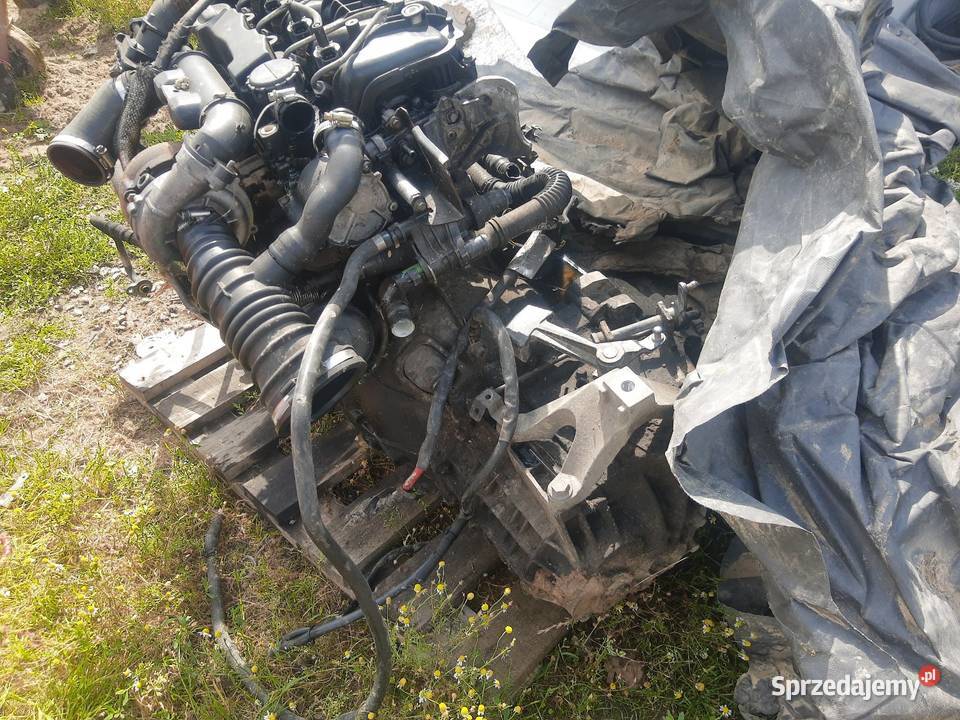 Silnik Volvo v 50 16 d z skrzynią Rok produkcji 2005 Łęczna