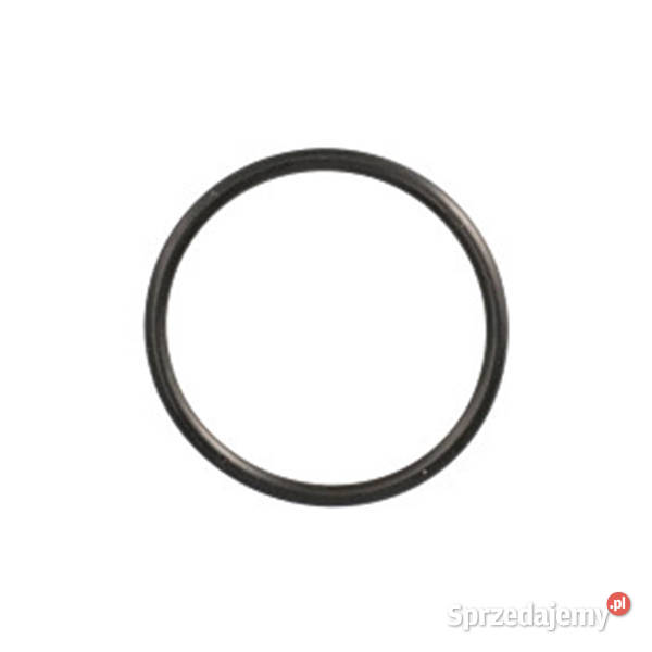 272380 Oring CNH