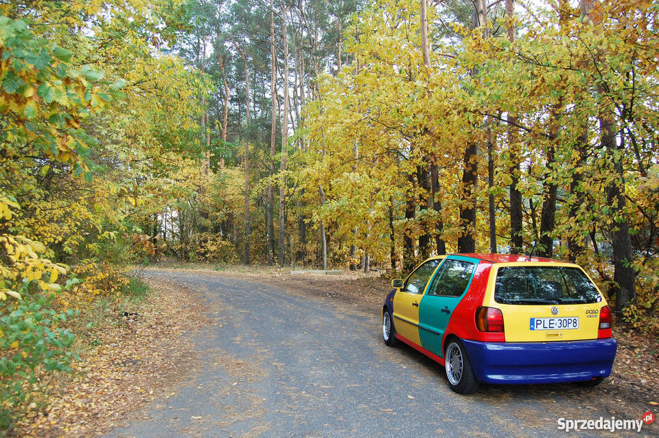 Vw Polo Harlekin nietuzinkowy mały skrzat