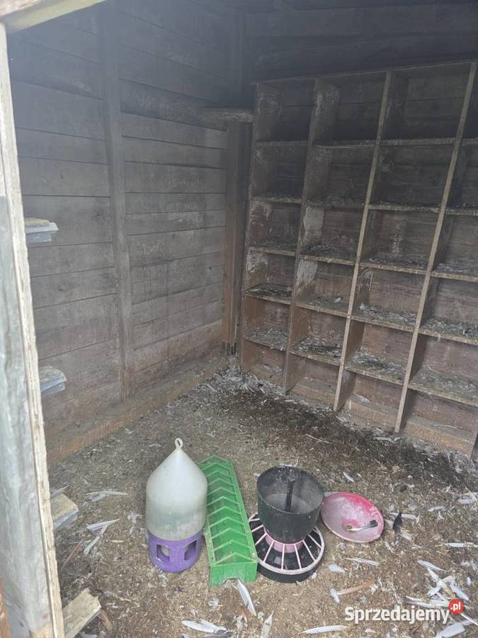 Golebnik gotowy do uzytku mazowieckie Obrąb