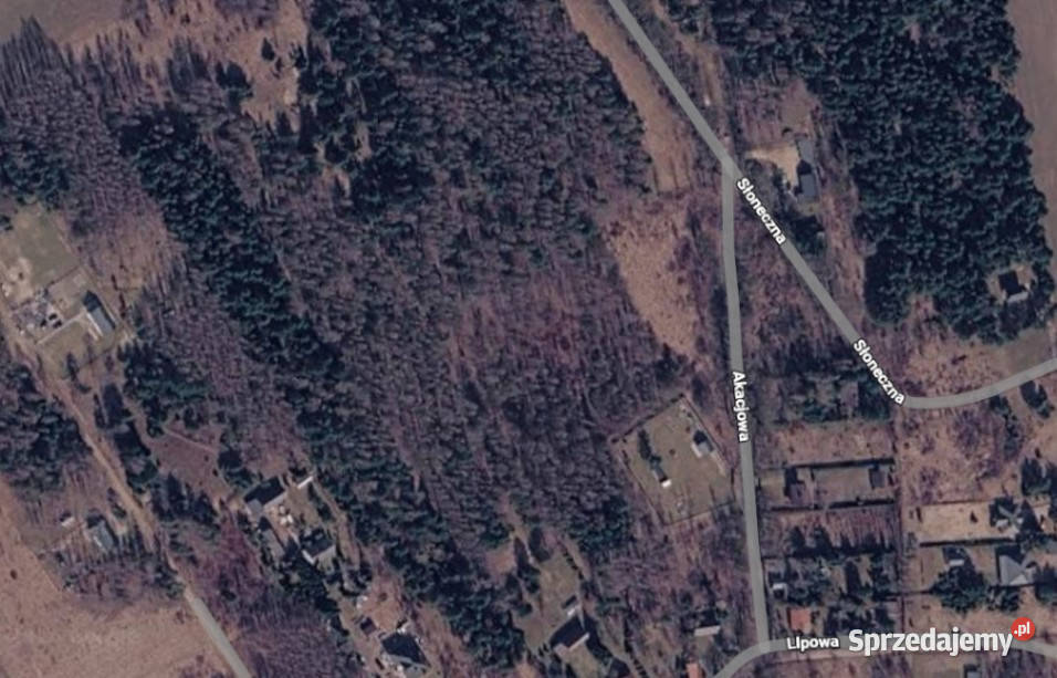 Działka RolnoRekreacyjna Gójszcz jedyne 4963 m2 1209m2