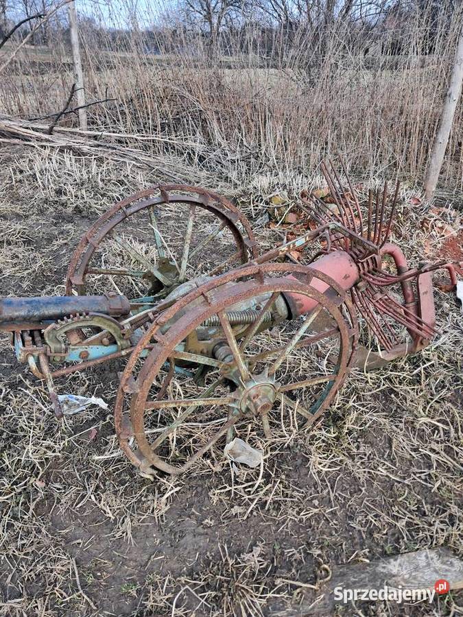 Sprzedam kopaczke konną do ziemniaków Nowe Brzesko