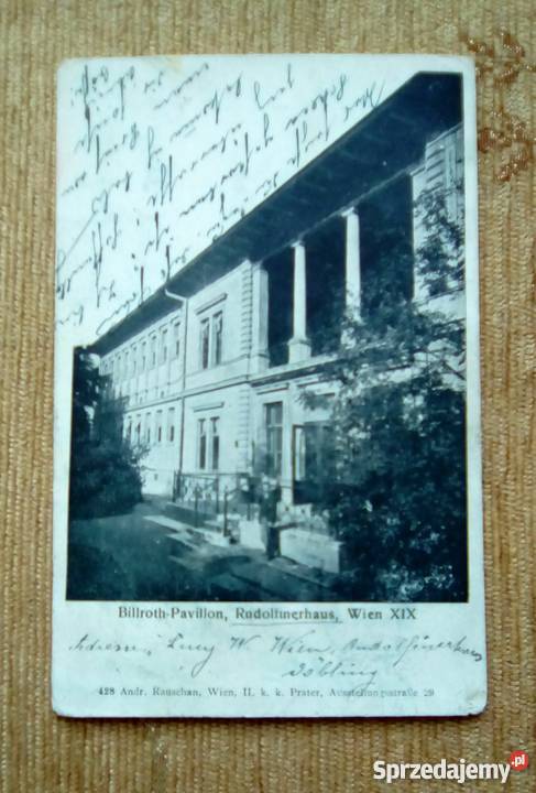 BILLROTHPAVILLON RUDOLFINERHAUS W WIEDNIU lubelskie Piszczac