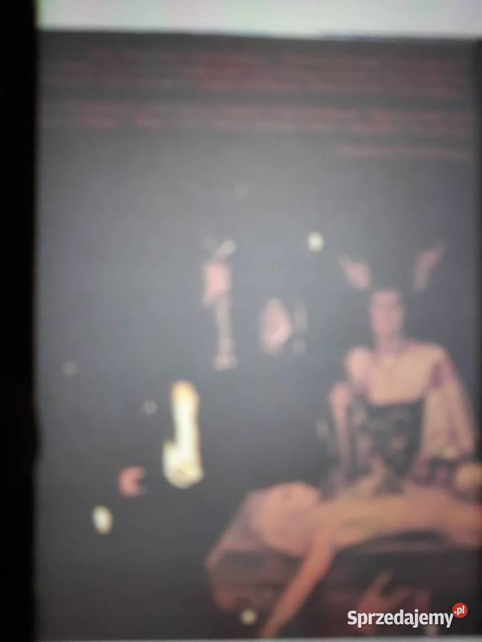 Nieznane archiwum psychodelicznego rocka COVEN Płyty i kasety Rzeszów