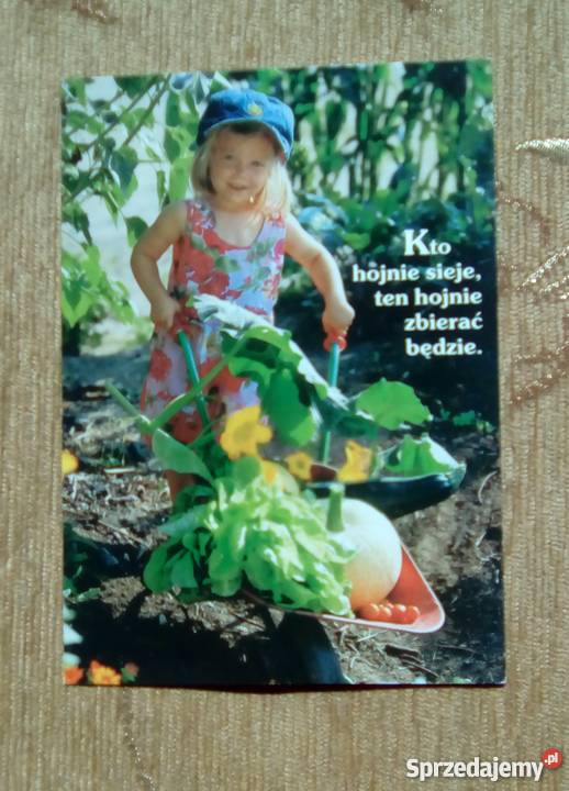 KTO HOJNIE SIEJE TEN HOJNIE ZBIERAĆ BĘDZIE Piszczac