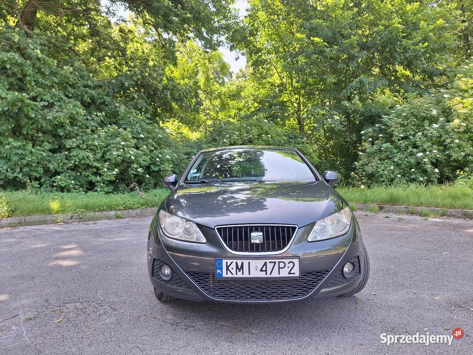 Seat Ibiza Wierzbica