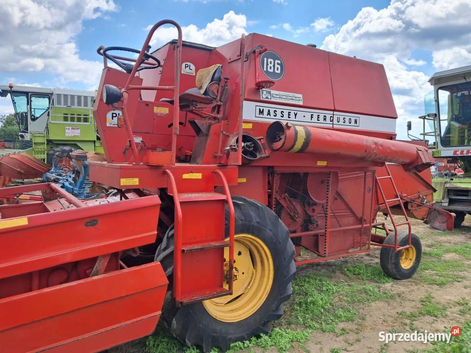Kombajn zbożowy Massey Ferguson 186 z Kombajny Skaryszew
