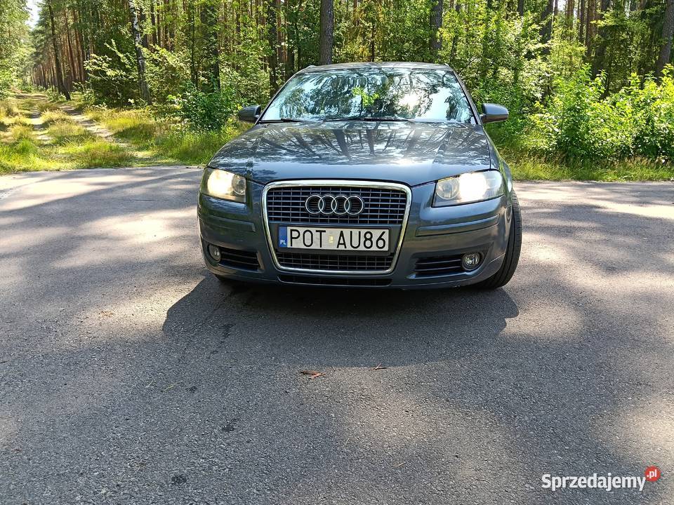 Audi A3 8P Sportback 19 TDI 105 BXE Prywatne Ostrzeszów