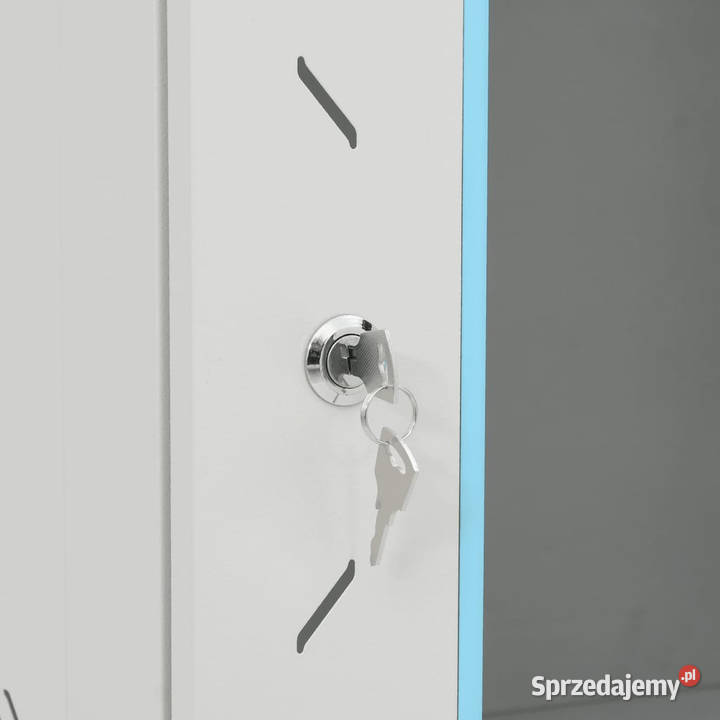 Szafka serwerowa 18U 19 IP20 szara 60x60x100 Warszawa