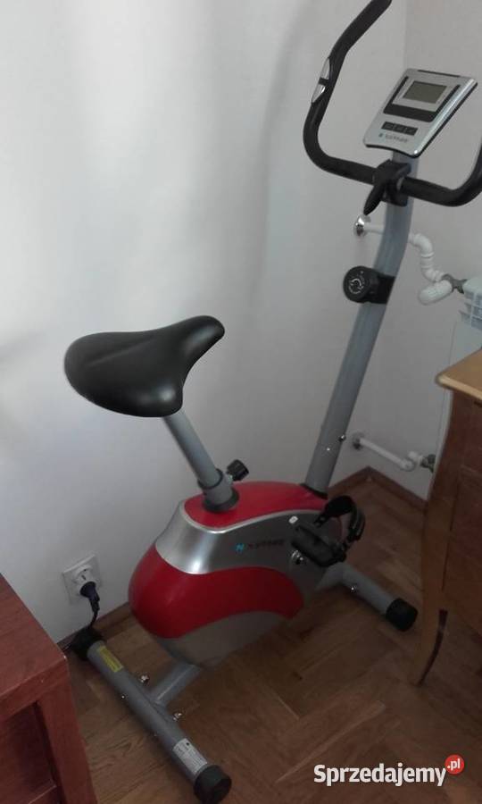 ROWER TRENINGOWY