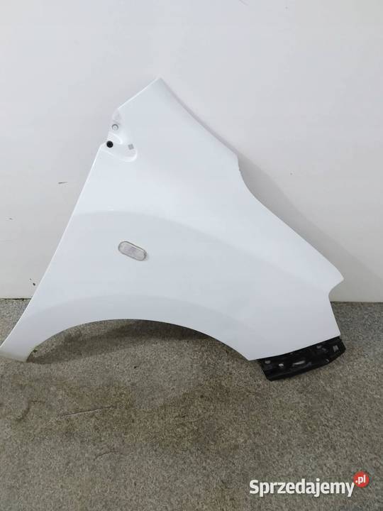 BŁOTNIK PRAWY PRZÓD D389 Dacia Dokker I 2012 sprzedam