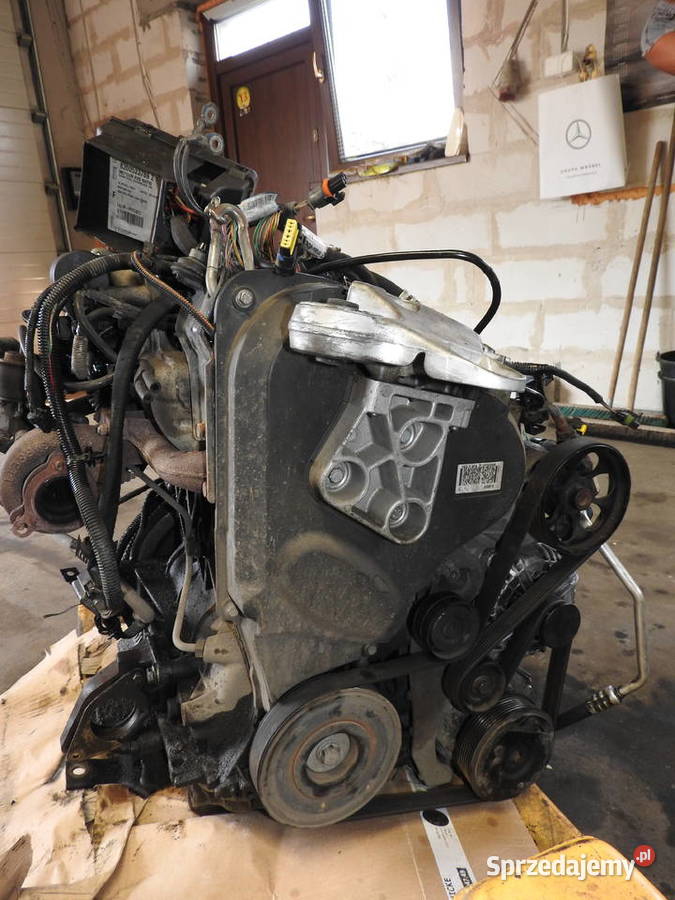 renault 19 dci silnik części Starogard Gdański