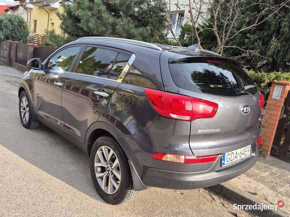 Kia Sportage 17 CRDI Business Line L 2WD 115KM pomorskie Rotmanka