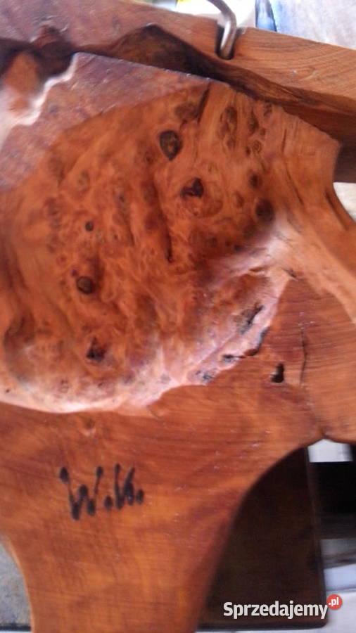 Półka z korzenia ręcznie robiona 26cm Warszawa sprzedam