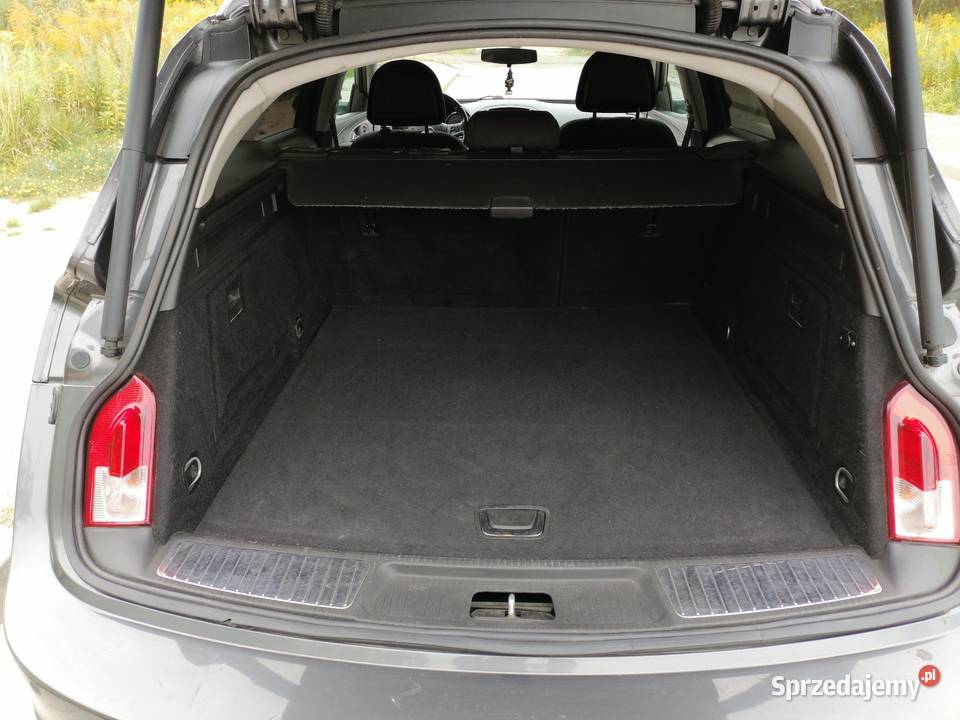 Opel Insignia 20 cdti1102009 stan do jazdy 110KM Mińsk Mazowiecki sprzedam