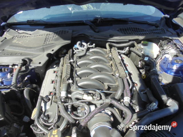 FORD Mustang GT 50 V8 422 FV567 Gdańsk sprzedam