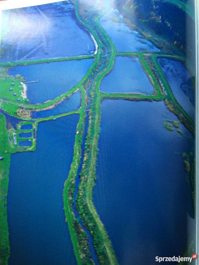 403 Małe Ojczyzny Szczecin sprzedam