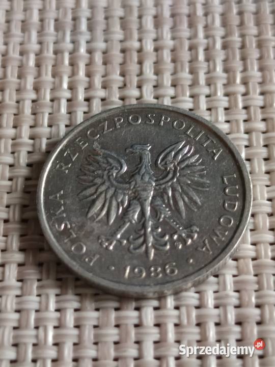 Sprzedam monete 50 gr 1986 r Chełm sprzedam