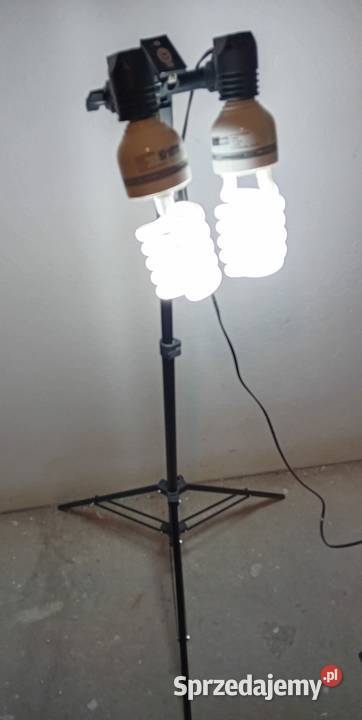 Lampa studyjna fotograficzna Krosno