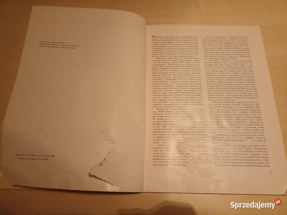 Walentyn Bułkin Wielcy malarze świata Dionizy ISBN 8600953164037 Kraków