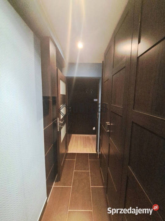 Jantarowej Rozkład remonciePiwnica Nieruchomości dolnośląskie Wrocław