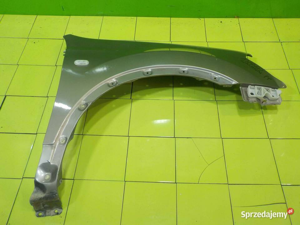 NISSAN QASHQAI J10 I 09r blotnik prawy przod Suków