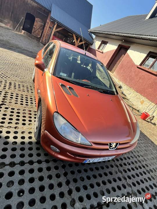 Peugeot 206 19D małopolskie Kanina