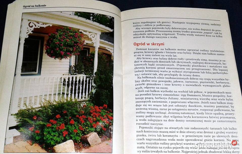Ogród na balkonie Agnieszka Sokołowska lubelskie Chełm sprzedam