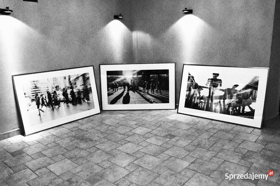 Komplet pięknych fotografii w metalowych ramach Pszczyna