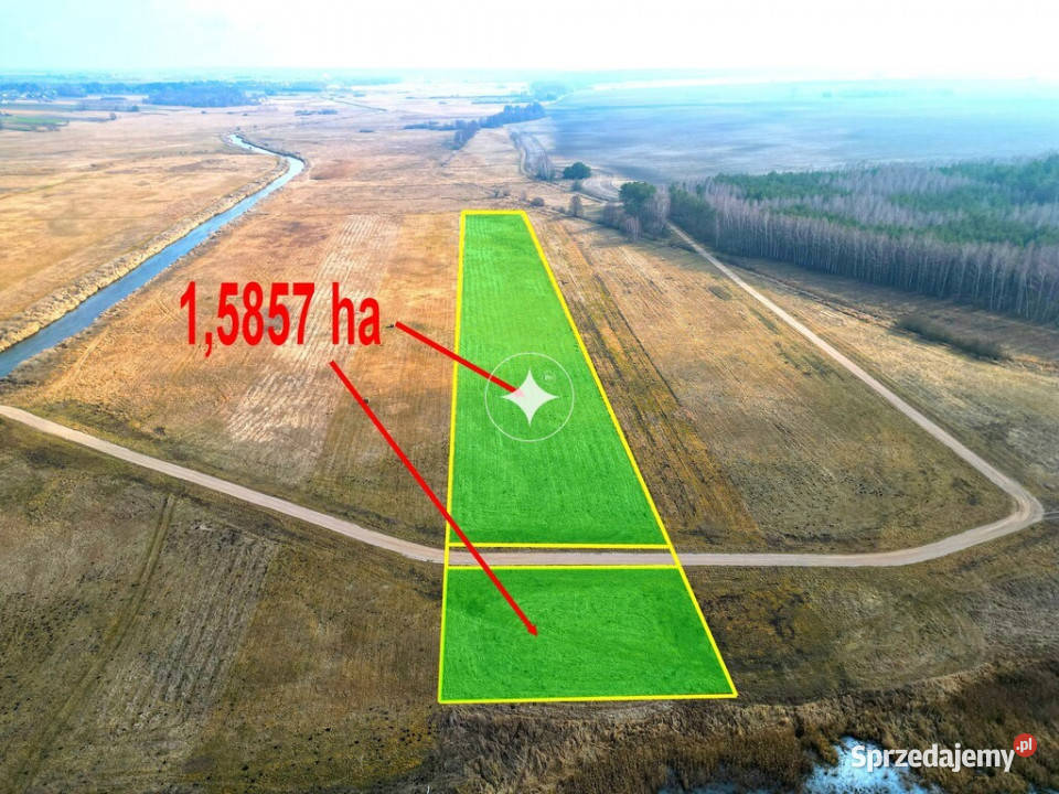 Łąka Horbów Kolonia gm Zalesie pow bialski rolna Horbów-Kolonia