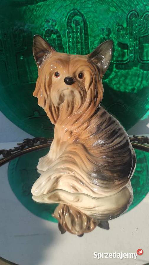MELBA Wyjątkowa porcelanowa figura psa rasy YORK Pabianice