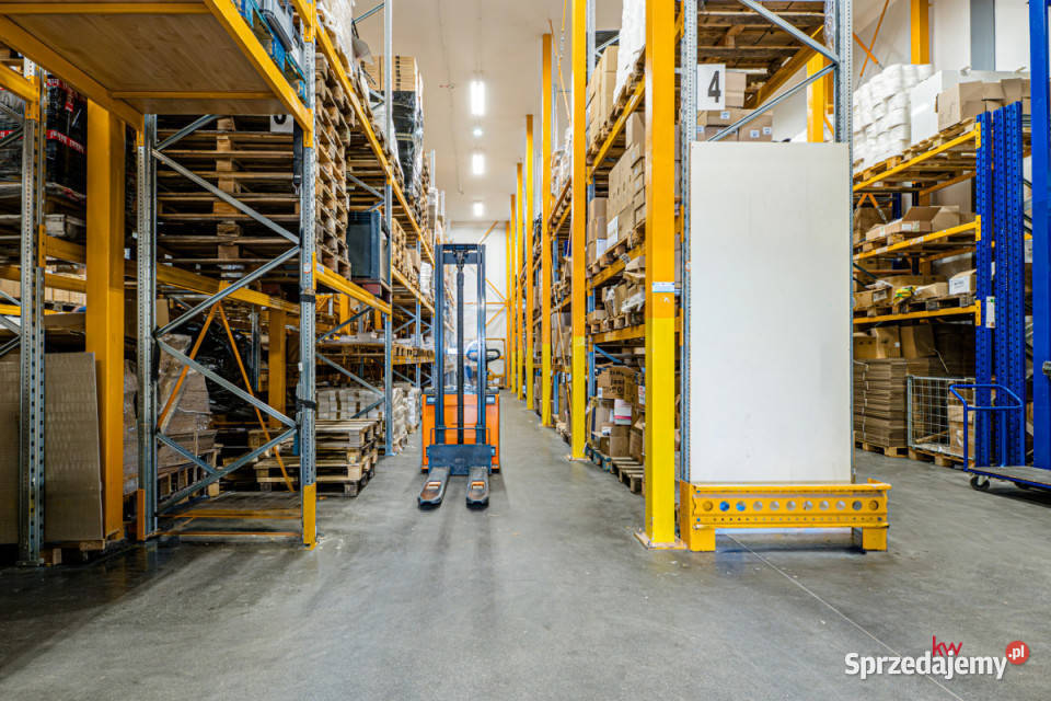 Lokal Poznań Polska 60m2