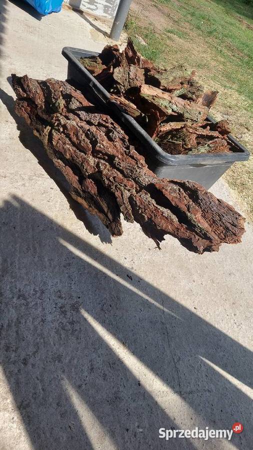 Kora sosnowa gruba Pionki