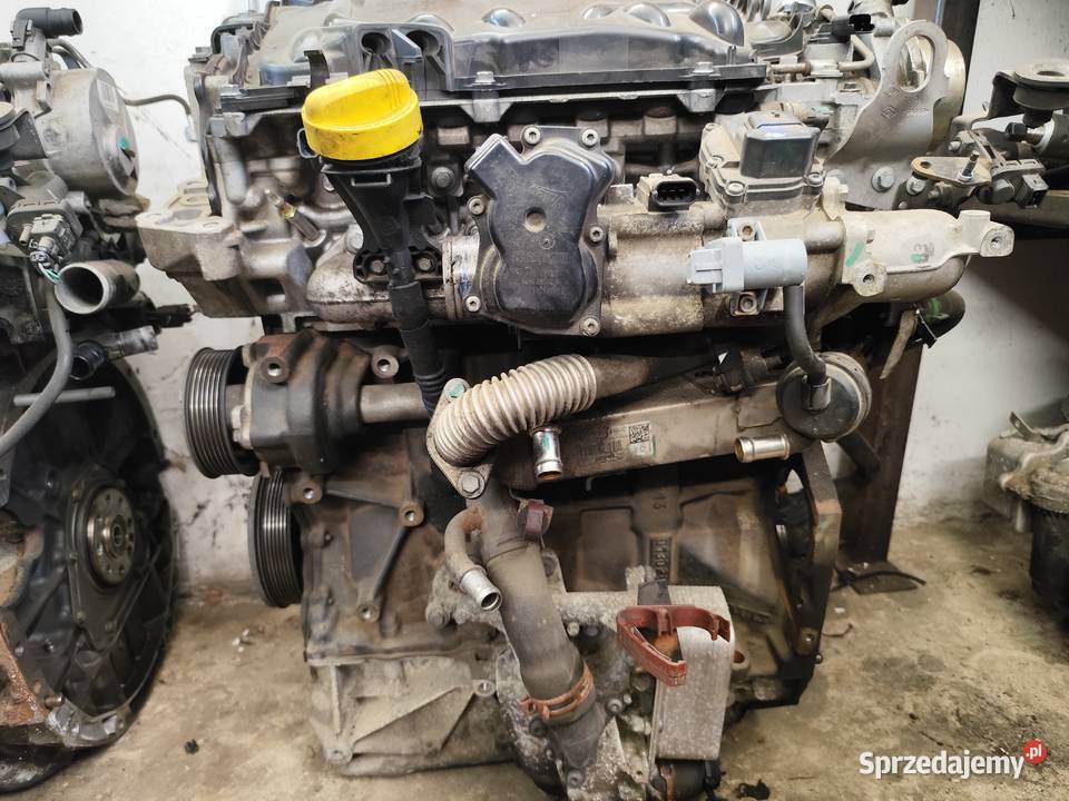 Silnik 20 dCi M9R Renault Opel Nissan świętokrzyskie Sędziszów