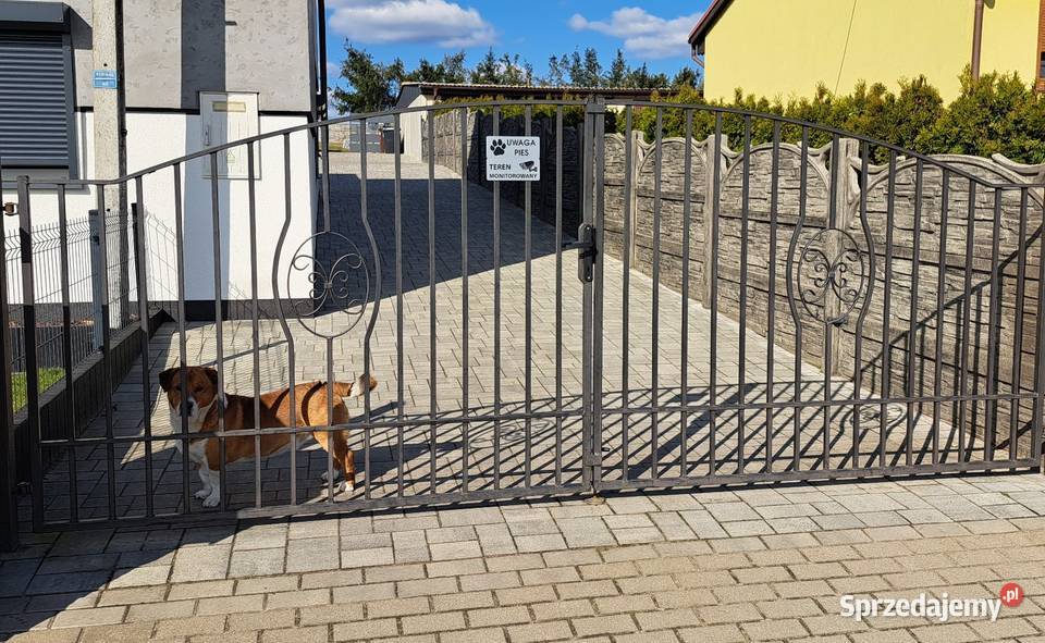 Brama płot sprzęsło skrzydłowa Dom i Ogród Jarocin