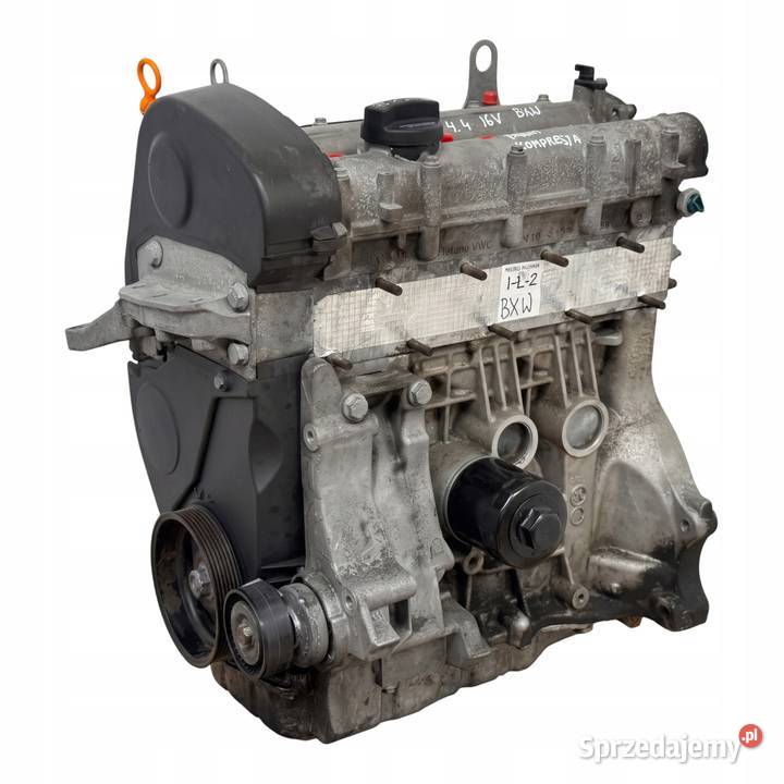 SILNIK BXW Seat Cordoba II Leon Toledo III Altea Chełm