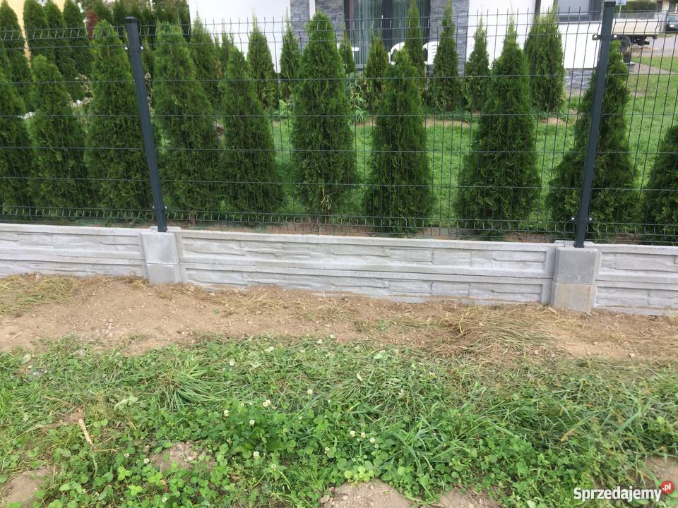 Ogrodzenia Panelowe Sprzedaż i Montaż małopolskie Zakopane sprzedam