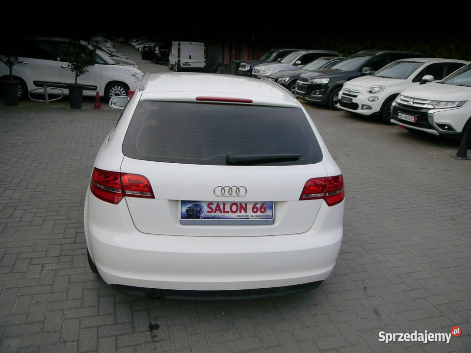 Audi A3 Sportback 16mpi Gaz LPG Xenon Ledy Stan 4/5 śląskie