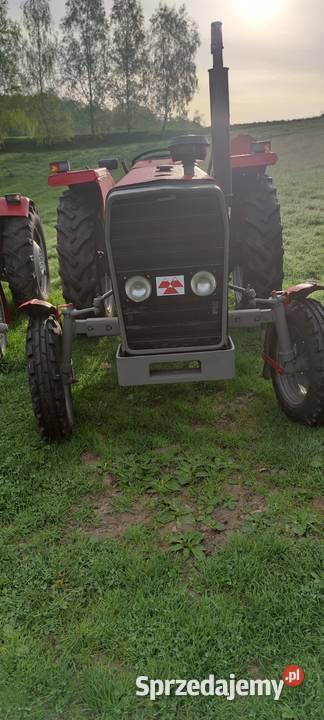 Sprzedam Ferguson Straszydle