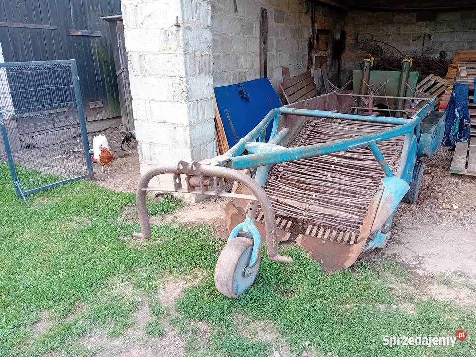 Kopaczka do ziemniaka cebuli