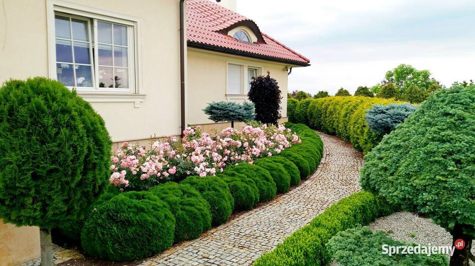 PROJEKTOWANIE I ZAKŁADANIE OGRODÓW GREEN POINT