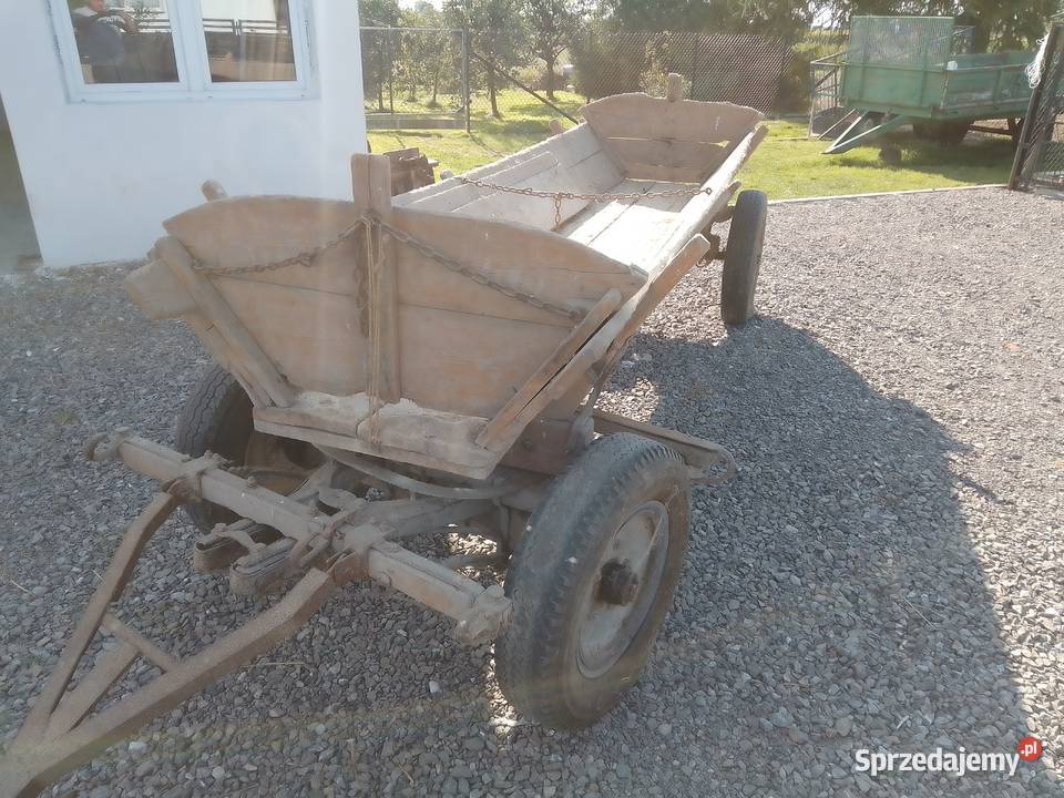 Wóz konny możliwość transportu Wojciechów-Kolonia Piąta