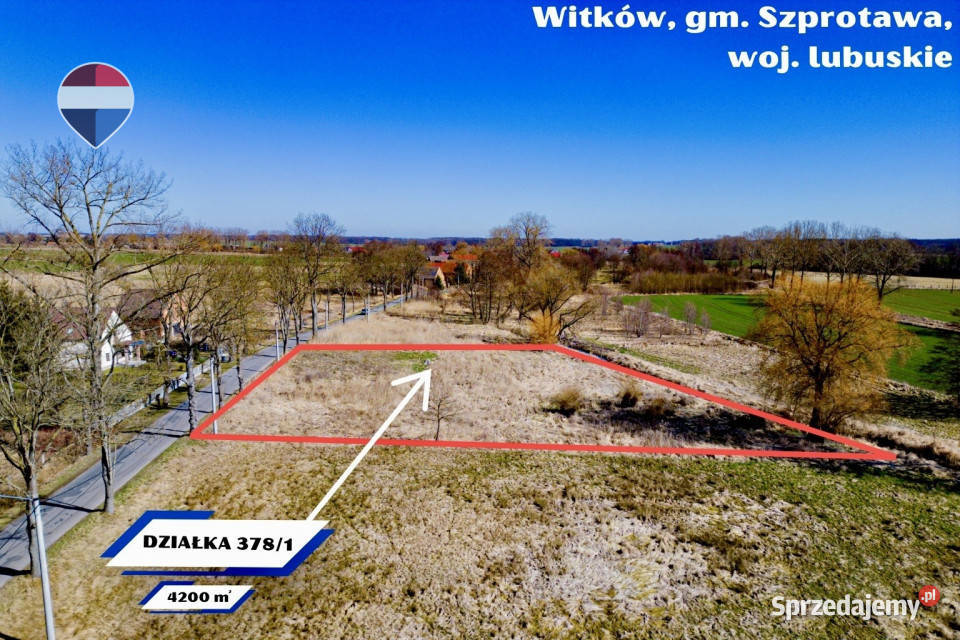Na sprzedaż działka budowlana 4200 m lubuskie Witków sprzedam