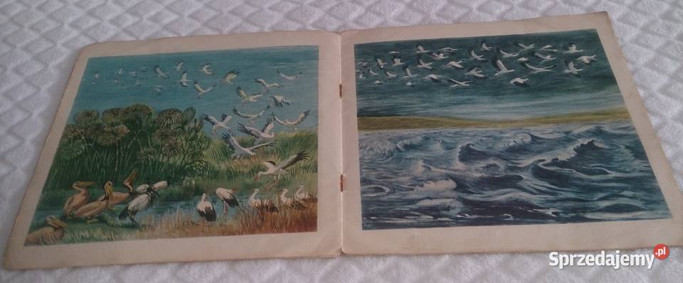 Roman Owidzki Bociany wracają Książka Rok wydania 1957 śląskie Czeladź
