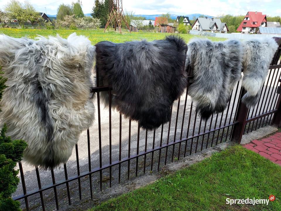 Skóra Owcza Szwedzka MELERADE Skóry Owcze Szaflary sprzedam